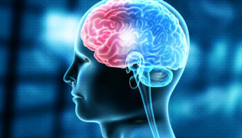 human brain injury requiring the best neurologist