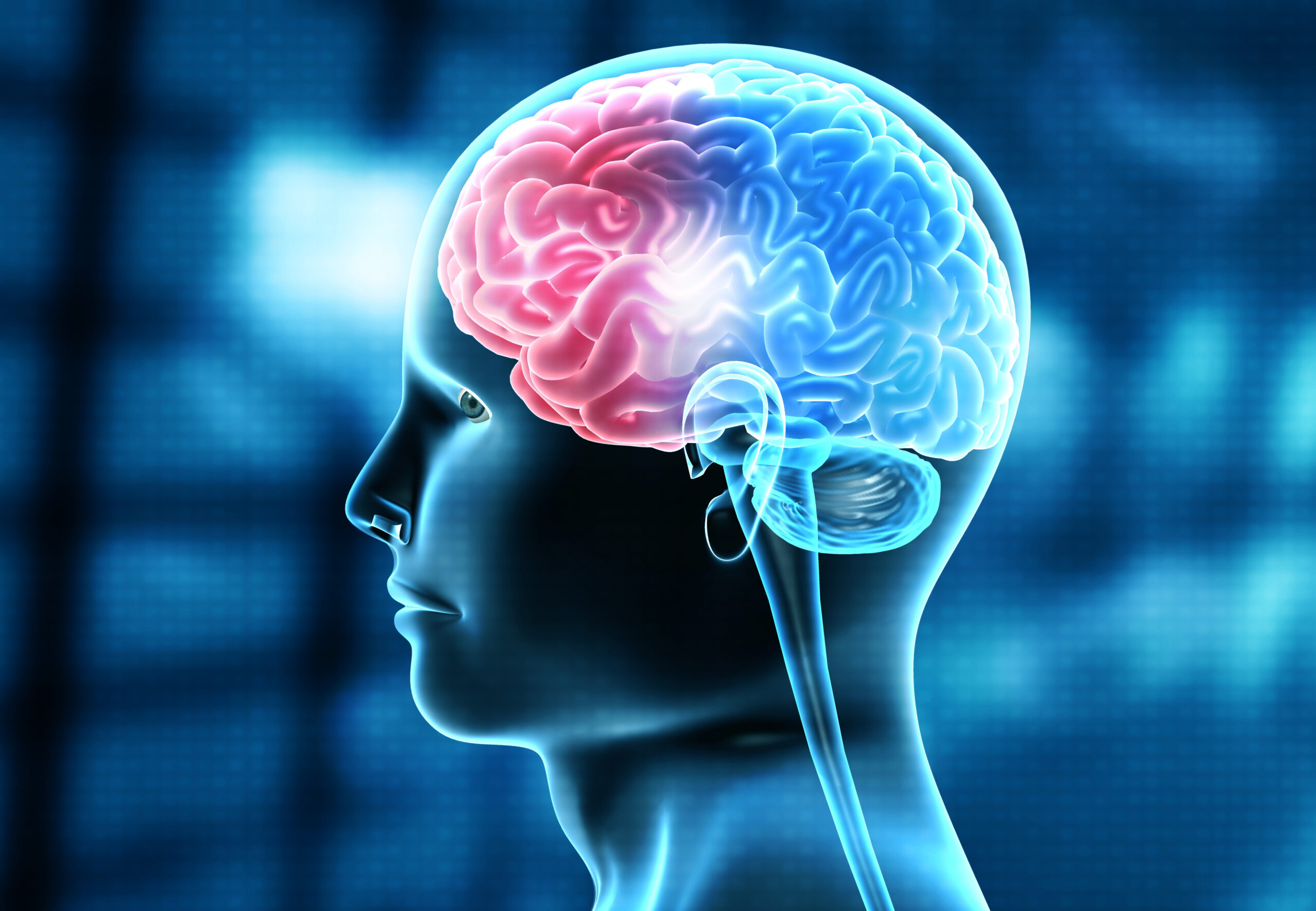 human brain injury requiring the best neurologist